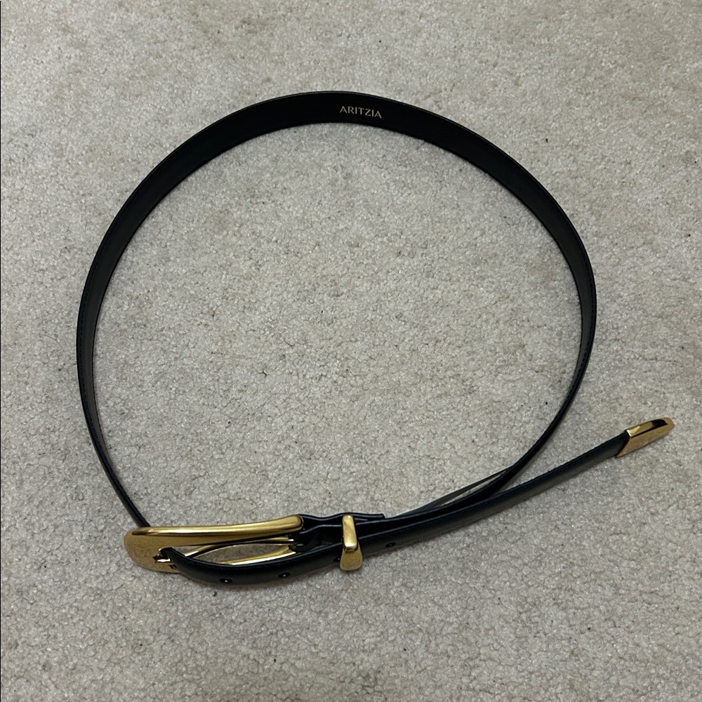 Aritzia Belt